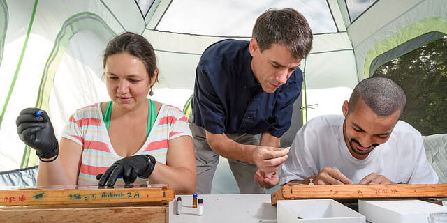 Featured Image for In the News-UNCG Research Team Featured by NCBiotech Center